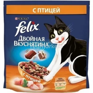 Felix (cat)